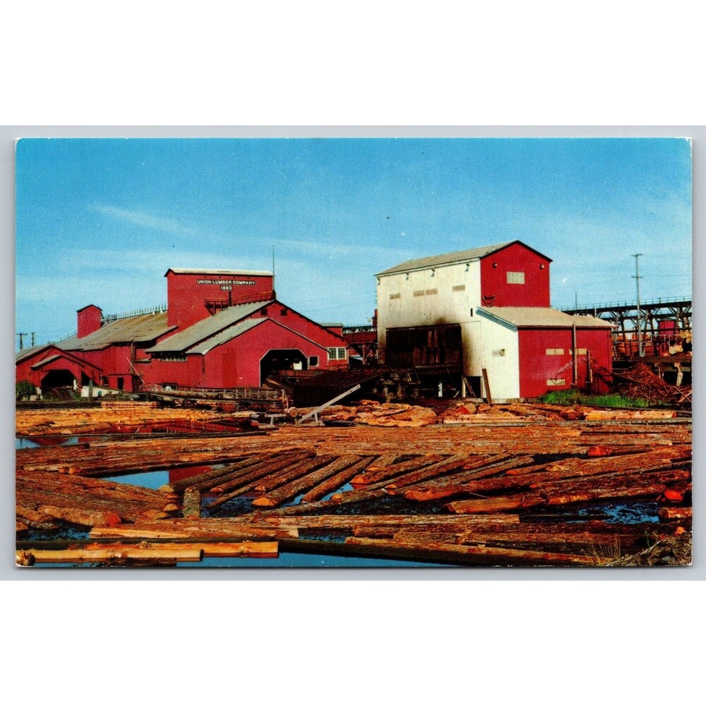 Vtg Postcard Union Lumber Co Fort Bragg CA Sawmill Mill Pond Mike Roberts Chrome